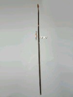 藏品(槍)的圖片